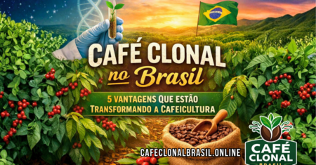 Café Clonal no Brasil: 5 Vantagens Que Estão Transformando a Cafeicultura