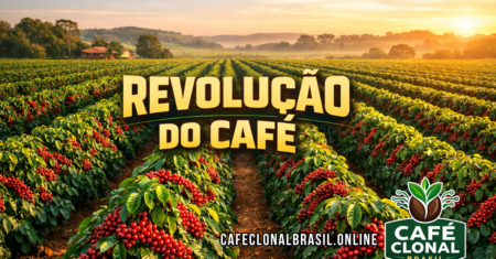 Café Clonal no Brasil: por que essa tecnologia está ganhando tanto espaço?
